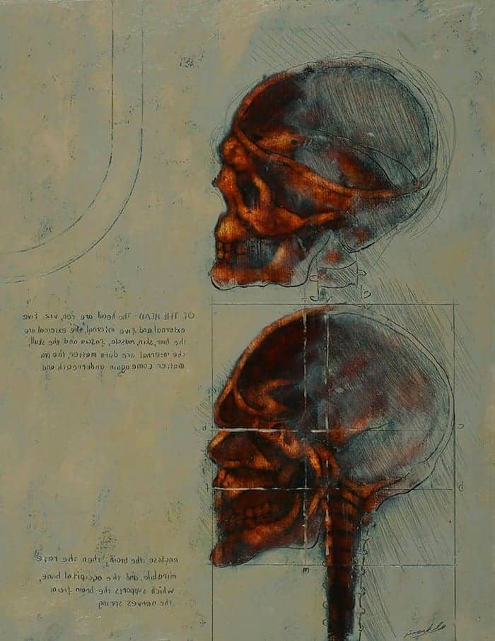 After da Vinci – A Skull Sectioned Frank To SSA ASGFA