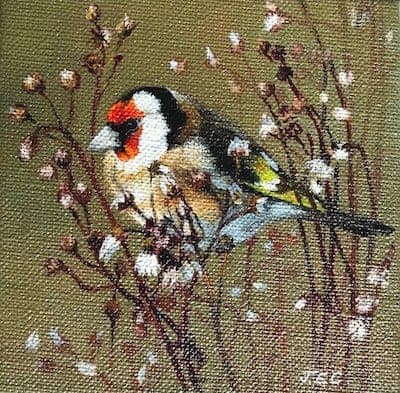 Goldfinch 4 Jackie Cartwright