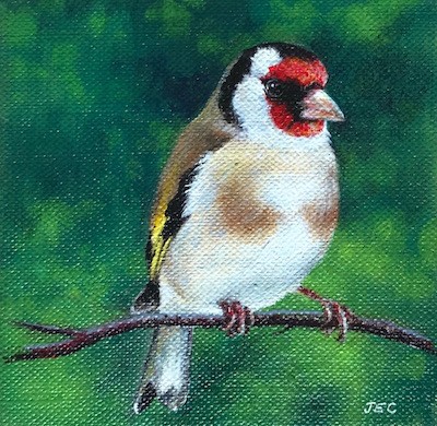 Goldfinch 6 Jackie Cartwright