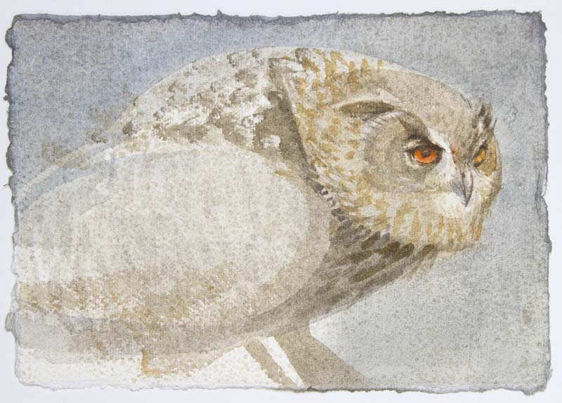 Eagle Owl Claire Harkess RSW