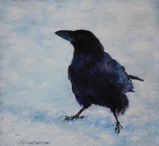 Canadian Crow Jackie Cartwright