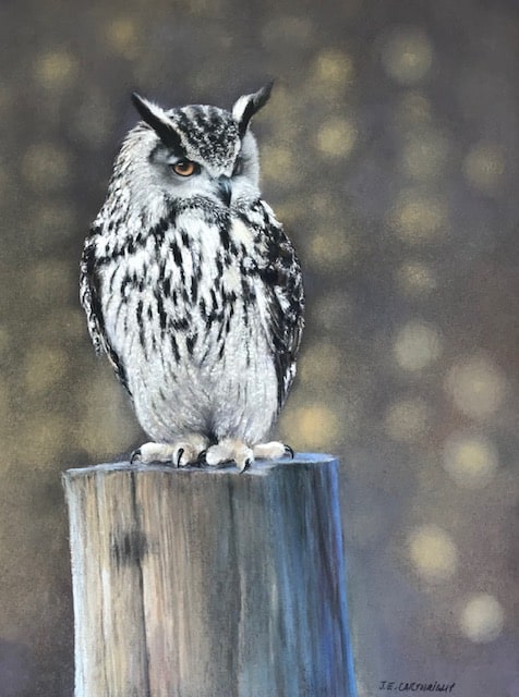 Eagle Owl Jackie Cartwright