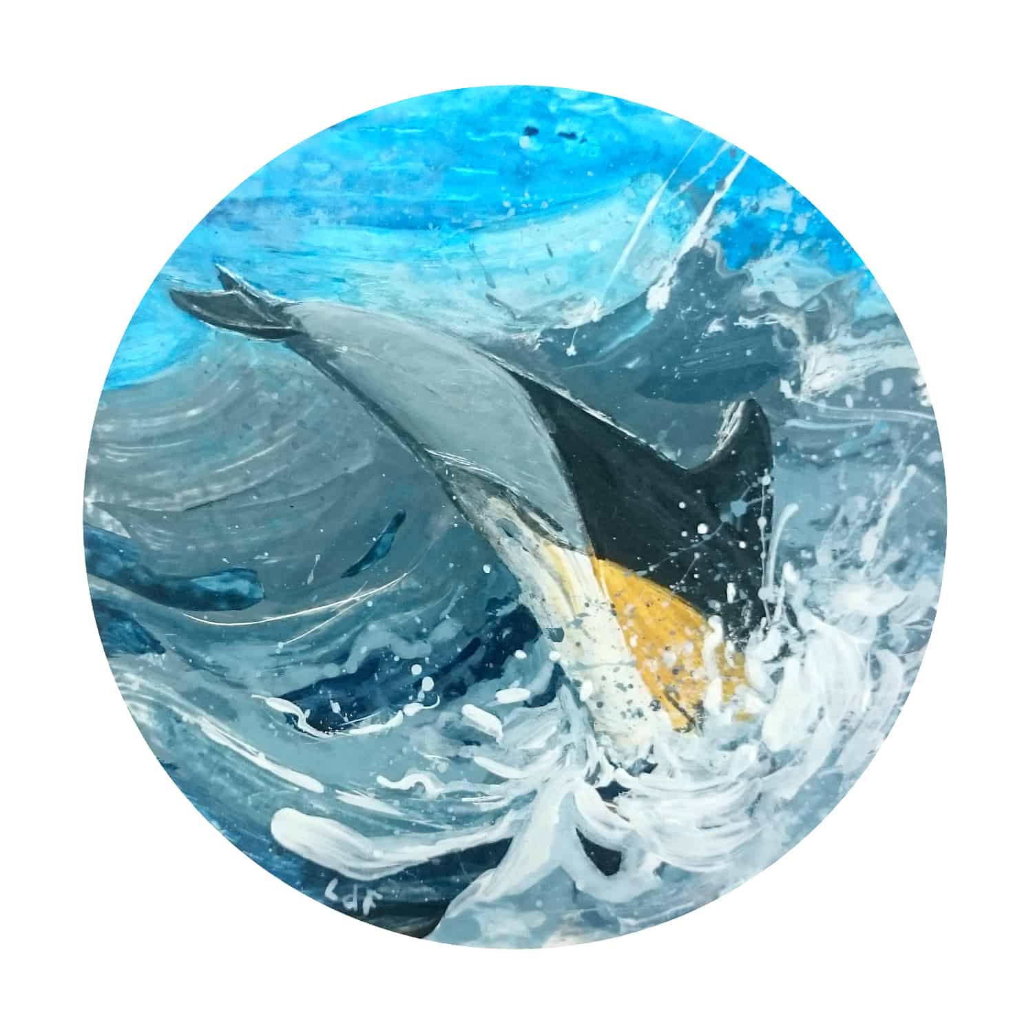Ocean Crossing – Dolphin Leo du Feu