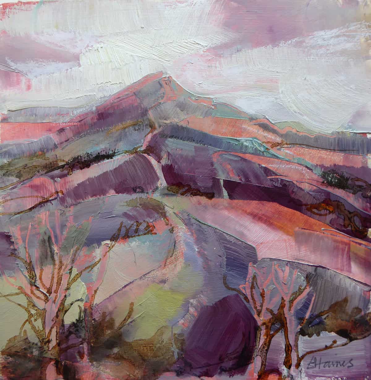 Rose Coloured Hill Path Elizabeth Haines