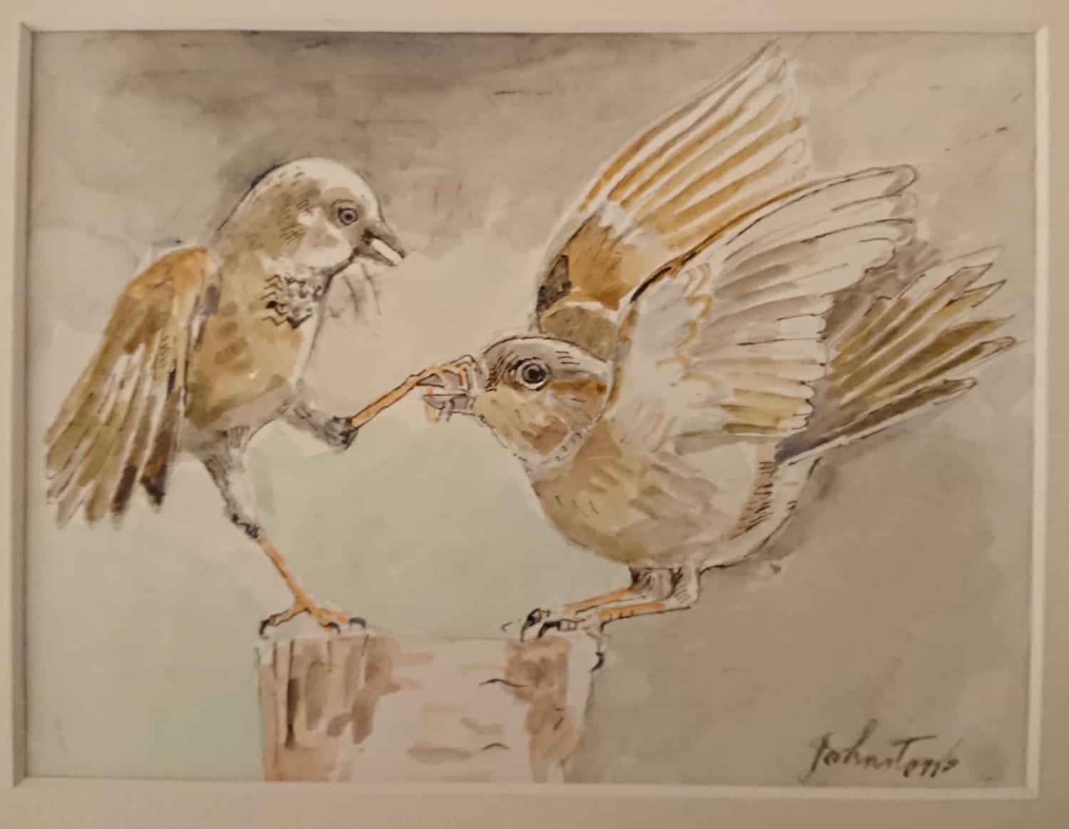 Sparrows Fighting John Johnstone