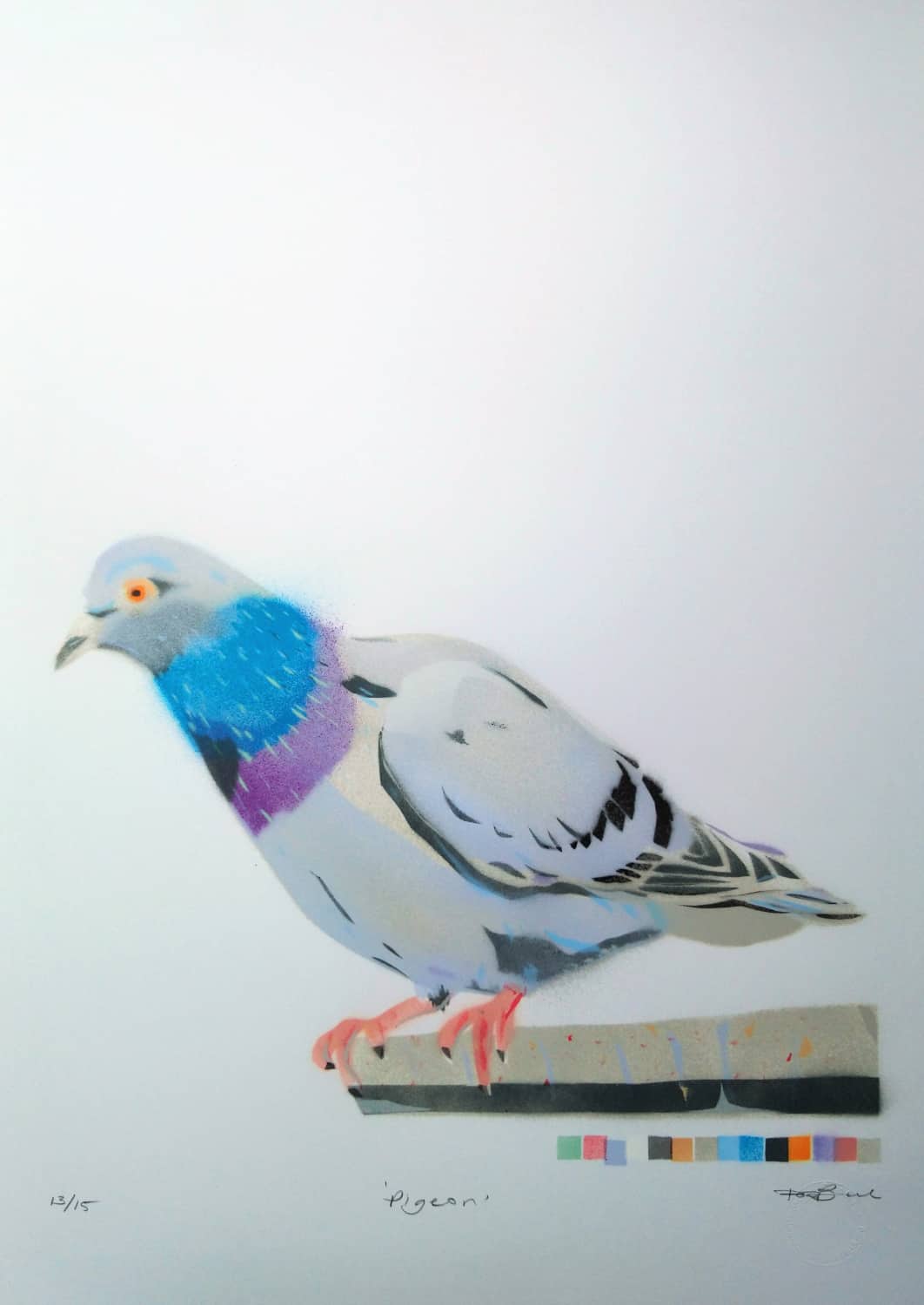 Pigeon Dylan Bell