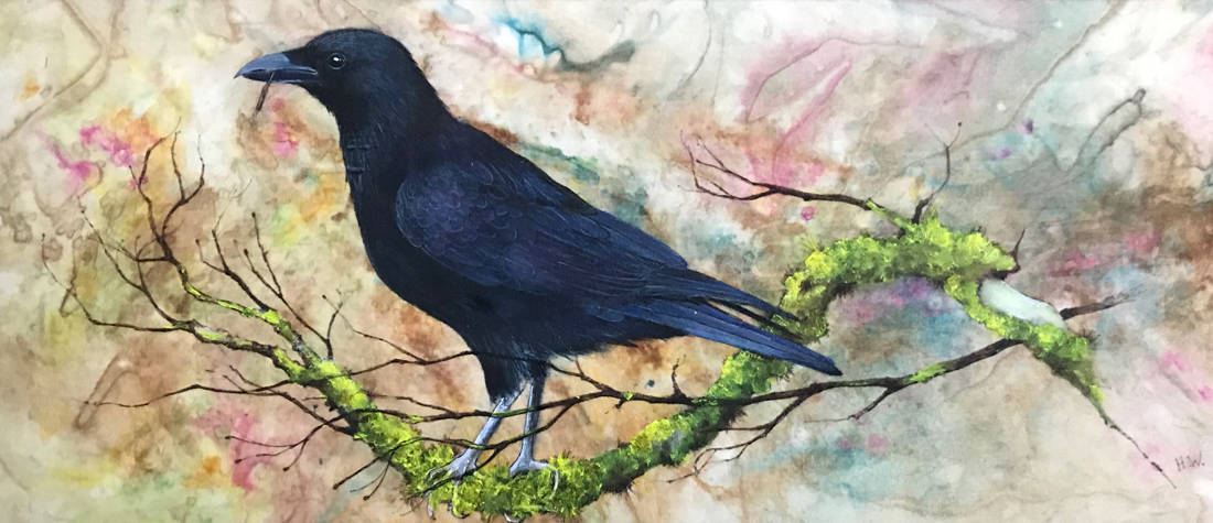 Carrion Crow on Branch Helen Welsh