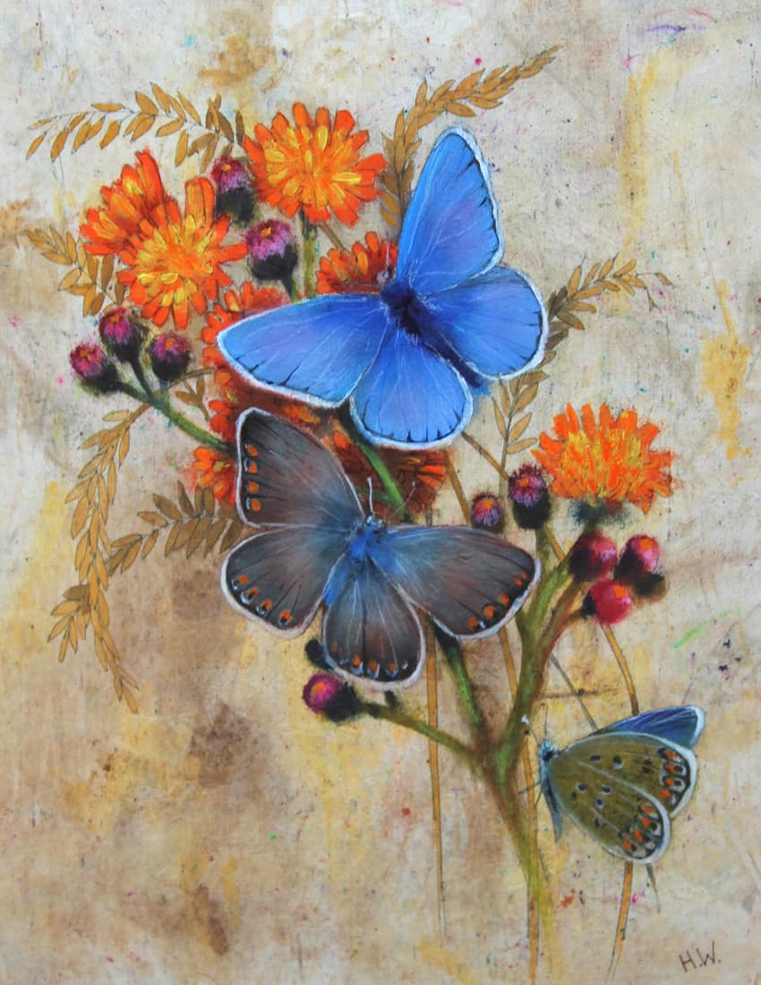 Common Blue Butterflies Helen Welsh