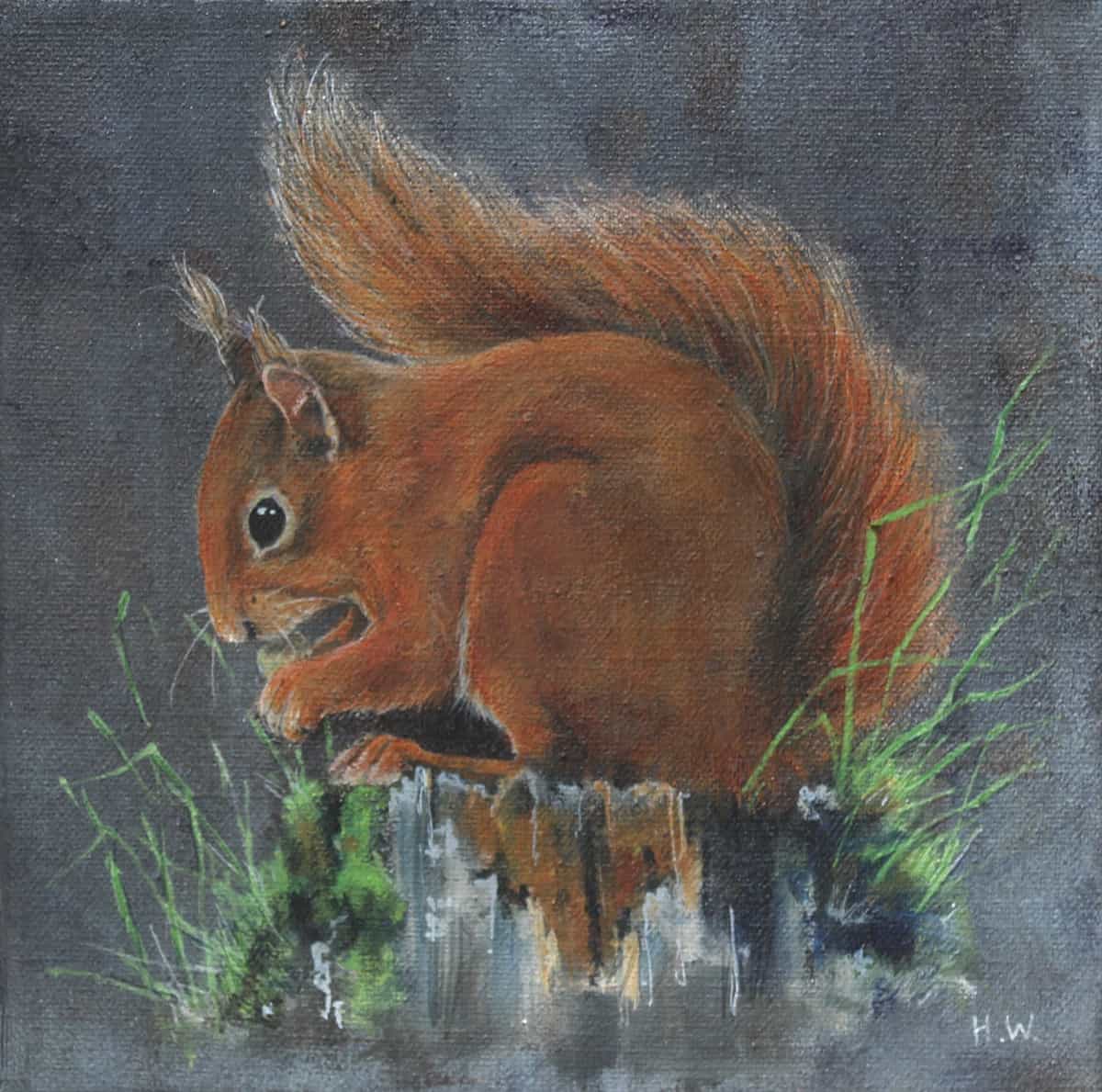 Squirrel Helen Welsh