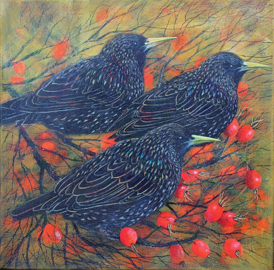 Three Starlings Helen Welsh