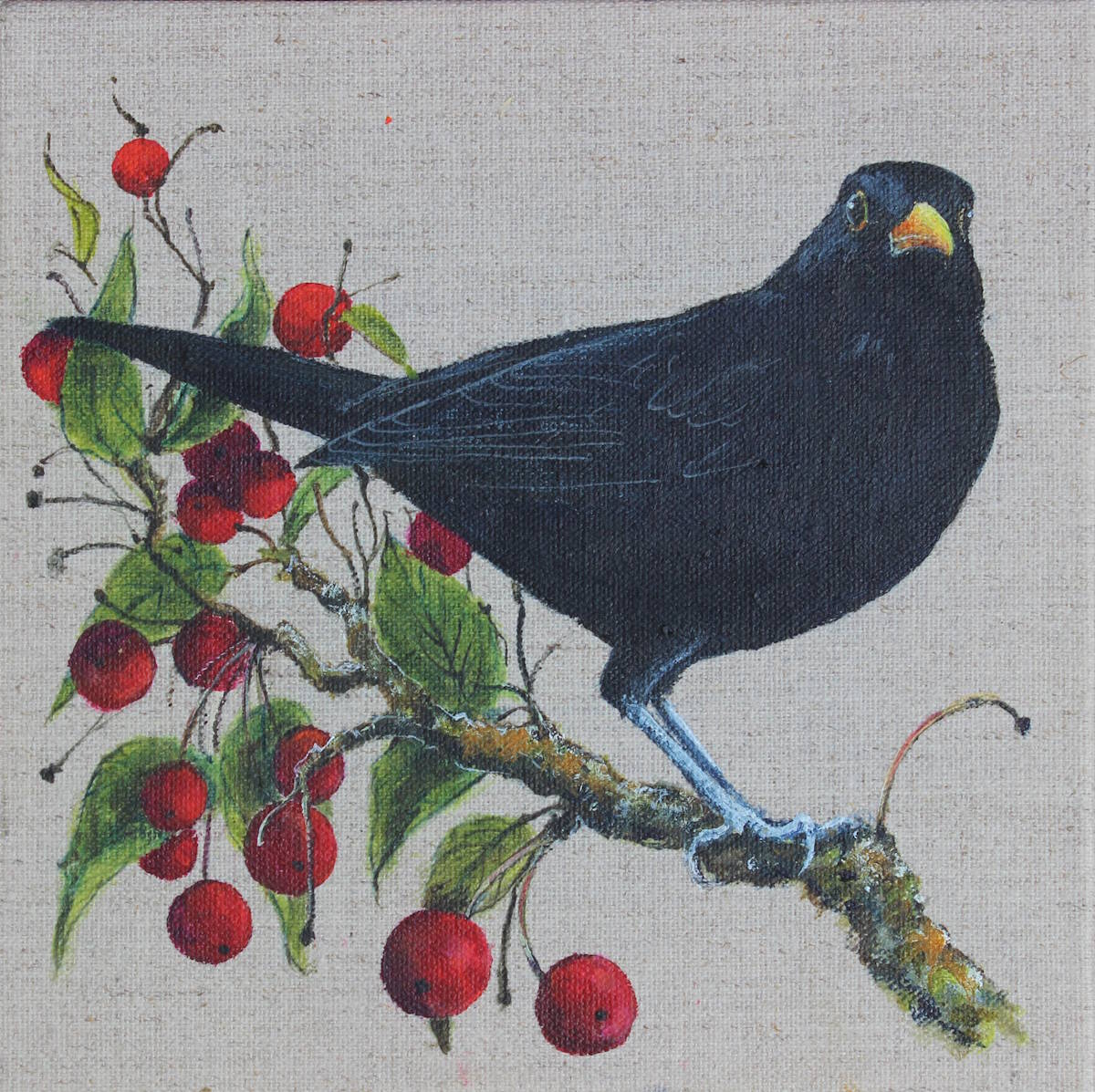 Blackbird with Cherries Helen Welsh